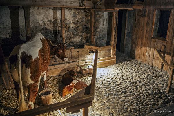 Salle commune - Scénomusée la Toinette et Julien - Murat le Quaire  - Massif du Sancy - Auvergne - France