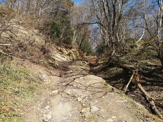 Le chemin des Grailleux au Pessy - Mes randonnées - Massif du Sancy - Auvergne - France