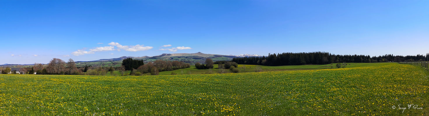 Le Massif du Sancy vu des Combrailles avec en point de mire, le Puy Loup, la Banne d'Ordanche et le Puy de Sancy encore enneigé - Auvergne - France