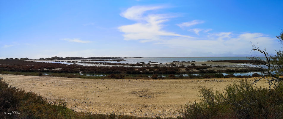 La Réserve Naturelle Nationale de Camargue - Les Saintes Maries de la Mer - Camargue - Bouches du Rhône - France