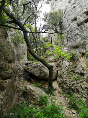 Le Roc des 2 Vierges à Saint Saturnin de Lucian