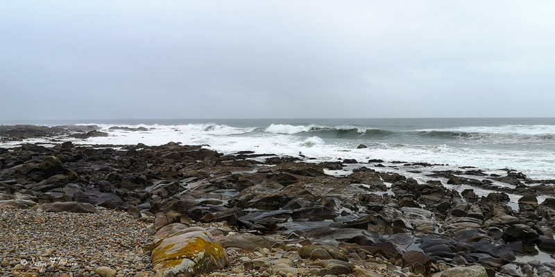  - Sur le chemin de Compostelle par le littoral