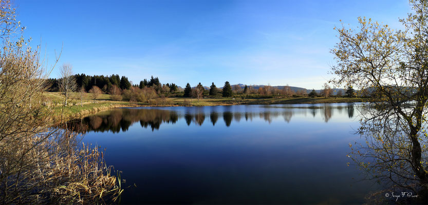 Plan d'eau du pré Cohadon - Murat-le-Quaire - Massif du Sancy - Auvergne - France