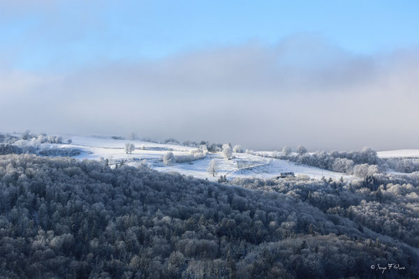 Liournat - Plateau de Charlannes - Massif du Sancy - Auvergne - France