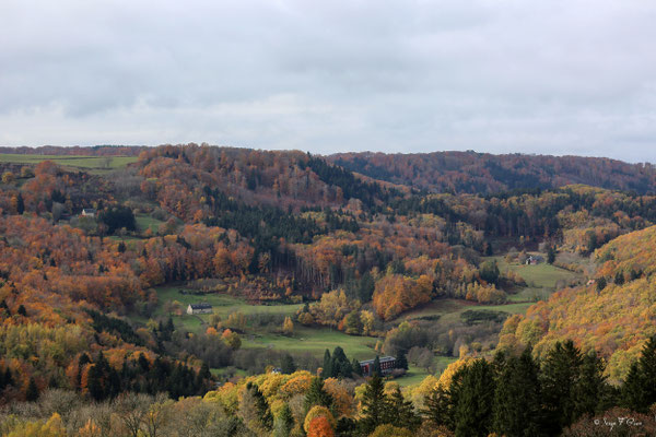 Magie des couleurs d'automne du plateau de Charlannes jusqu'à St Sauves d'Auvergnes - Massif du Sancy - Auvergne - France