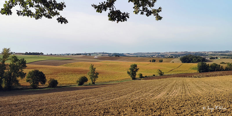 En allant de la Romieu à Condom - France - Sur le chemin de Compostelle