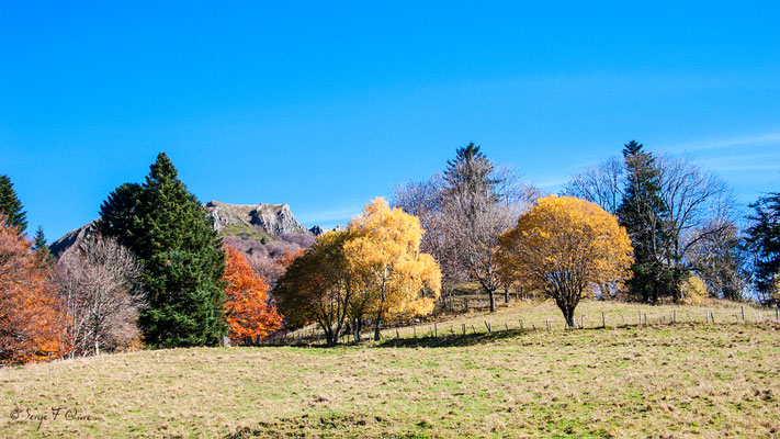 Le Puy Gros vue de l'Usclade -  Murat le Quaire - Auvergne - France