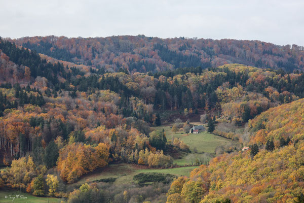 Magie des couleurs d'automne du plateau de Charlannes jusqu'à St Sauves d'Auvergnes - Massif du Sancy - Auvergne - France