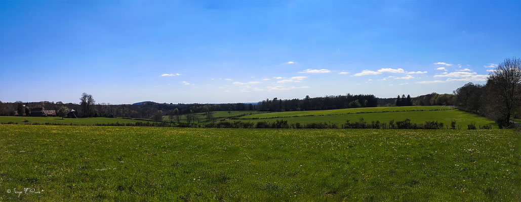 Paysage de campagne fleuris dans les Combrailles - Auvergne - France