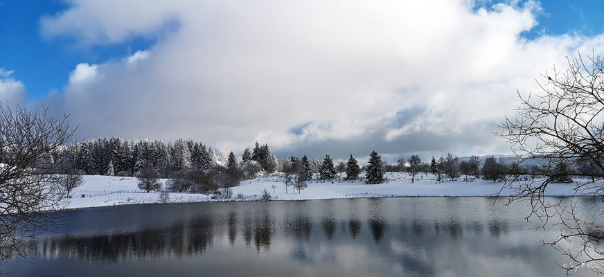 Plan d'eau du pré Cohadon - Murat-le-Quaire - Massif du Sancy - Auvergne - France