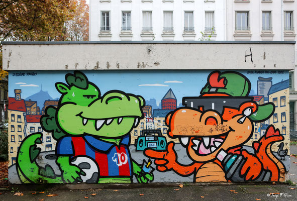 Street Art à Lyon - Bd Anatole France - Quartier la Tête d'Or - France