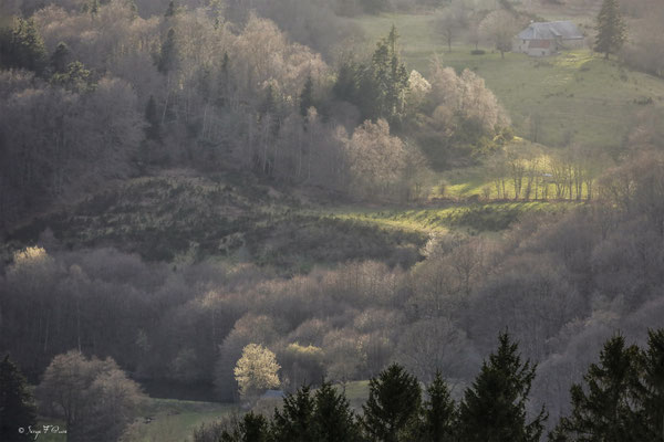 Lieu-dit Chibet - Commune de St-Sauves-d'Auvergne  - Massif du Sancy - Auvergne - France