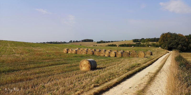 En allant de la Romieu à Condom - Gers - France - Sur le chemin de Compostelle