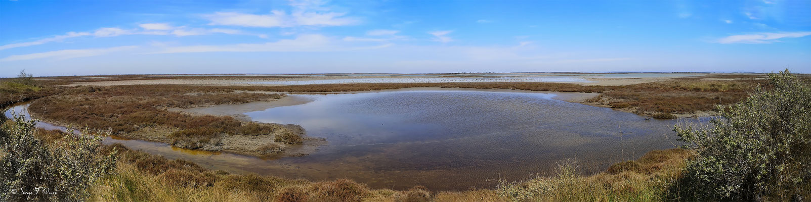 La Réserve Naturelle Nationale de Camargue - Les Saintes Maries de la Mer - Camargue - Bouches du Rhône - France