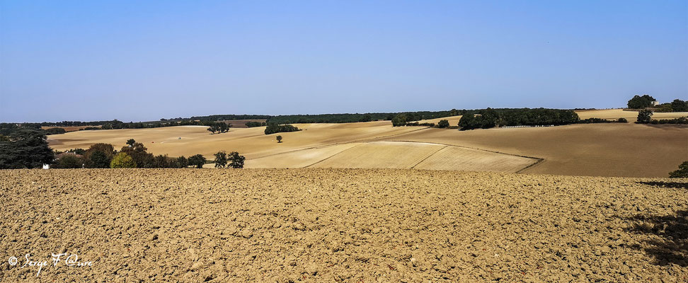 En allant de Castet-Arrouy  à Lectoure - France - Sur le chemin de Compostelle