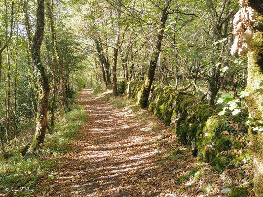 En allant en direction de Vers - Sur le chemin de Compostelle