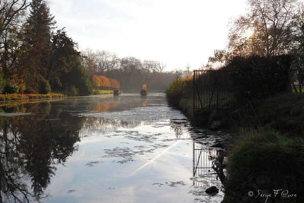 Parc du château de Rambouillet - Ile de France - Novembre 2011