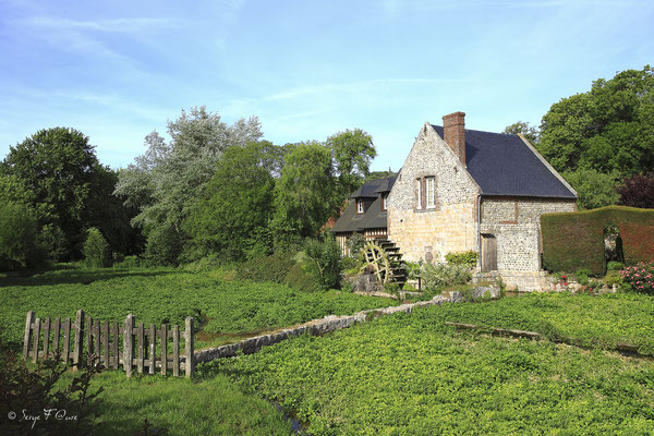 Moulin à eau et cressonnière à Veules les roses - Pays de Caux - Normandie - France