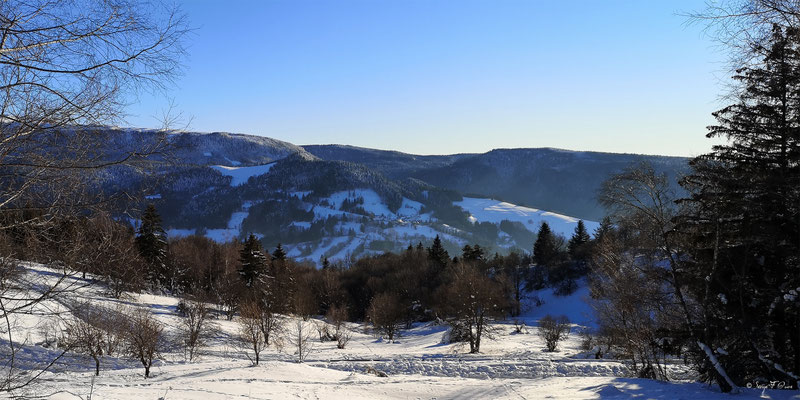 Vue du Pregnoux du chemin de la sapinière à Murat le Quaire - Massif du Sancy - Auvergne - France