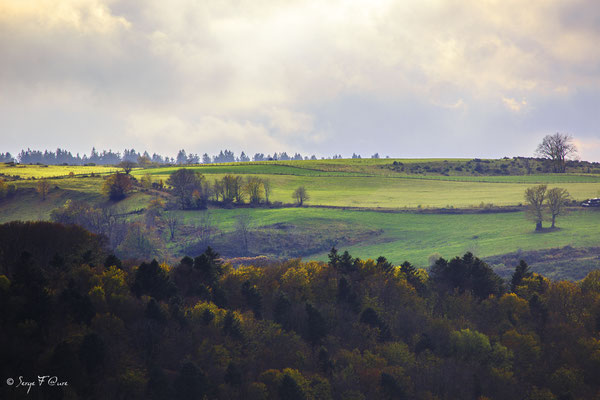 Plateau de Charlannes vers Liournat - Massif du Sancy - Auvergne - France