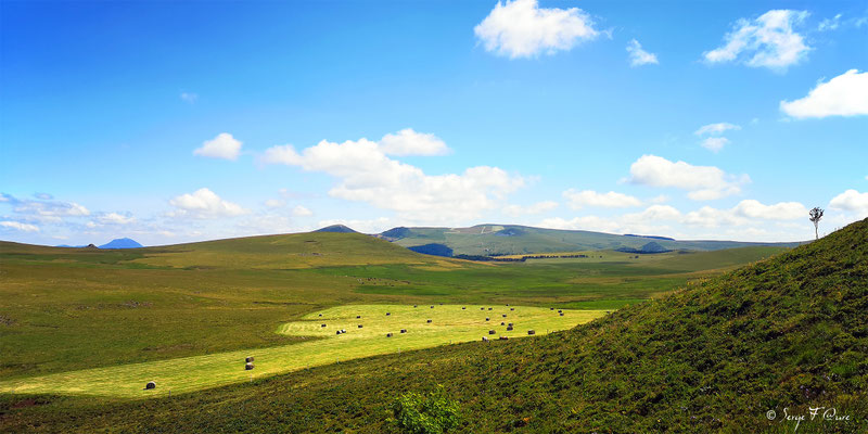 Le plateau du Guéry vu d'entre le Tenon et le Puy Gros - Murat le Quaire - Façon tableau - Massif du Sancy - Auvergne - France