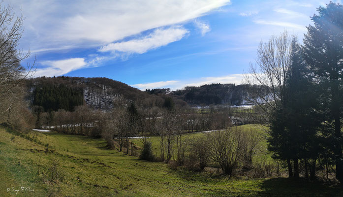 Vue sur le bois de la Paillère - St Sauves - Mes randonnées - Massif du Sancy - Auvergne - France 