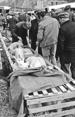 Foire de Giat - Auvergne - France (1978)