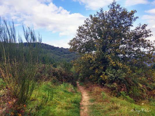 Sur le chemin de St Jacques de Compostelle (santiago de compostela) - Le Chemin du Puy ou Via Podiensis (variante par Rocamadour) - Septembre 2014