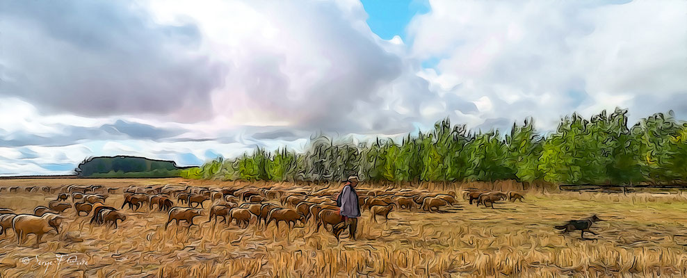"la transhumance" en photo peinture