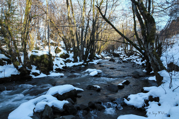 Ruisseau de l'enfer - le Mont Dore - Massif du Sancy - Auvergne - France 