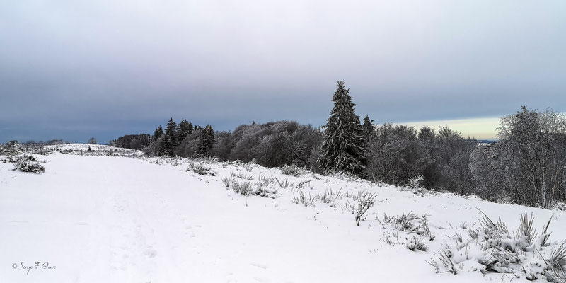 Paysage de neige à Murat le Quaire - Massif du Sancy - Auvergne - France