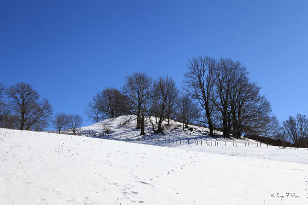 En allant vers l'Usclade - Petit hameau de Murat le Quaire - Massif du Sancy - Auvergne - France