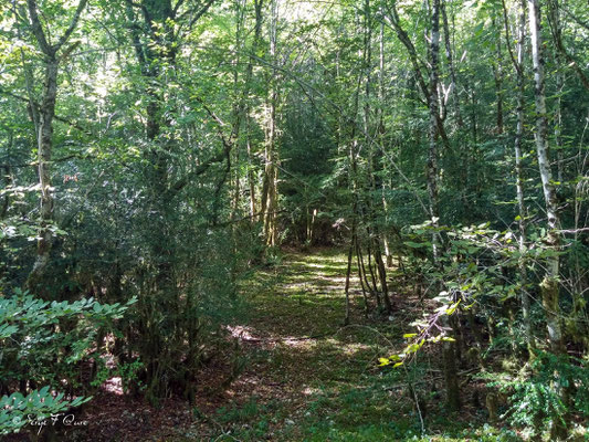 En allant en direction de Vers - Sur le chemin de Compostelle