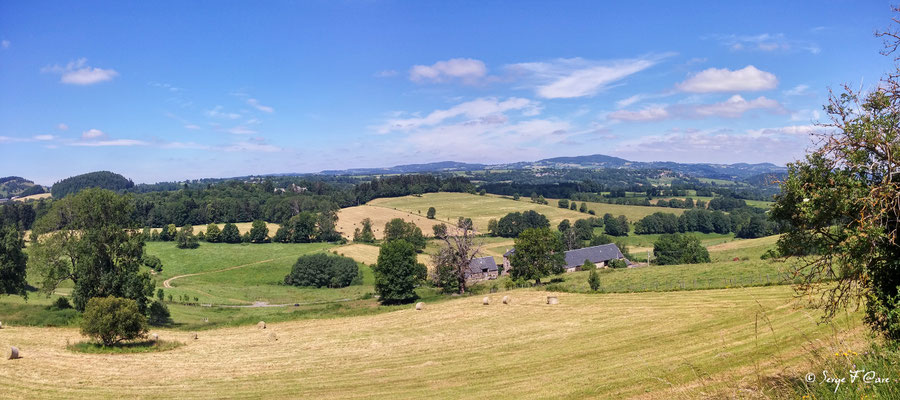"Les Mûres" à la Barquette près d'Orcival - Massif du Sancy - Auvergne - France
