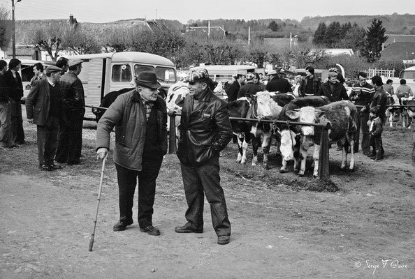 Foire de Giat (les bestiaux) - Auvergne - France (1978)