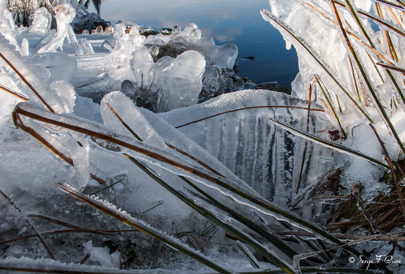 "Variation autour de l'eau et de la glace" à Murat le Quaire - Massif du Sancy - Auvergne - France