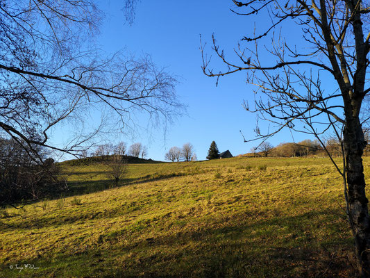Les Escures Basses – commune de Murat-le-Quaire.