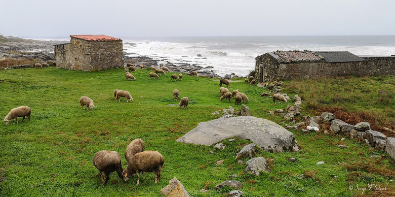  - Sur le chemin de Compostelle par le littoral
