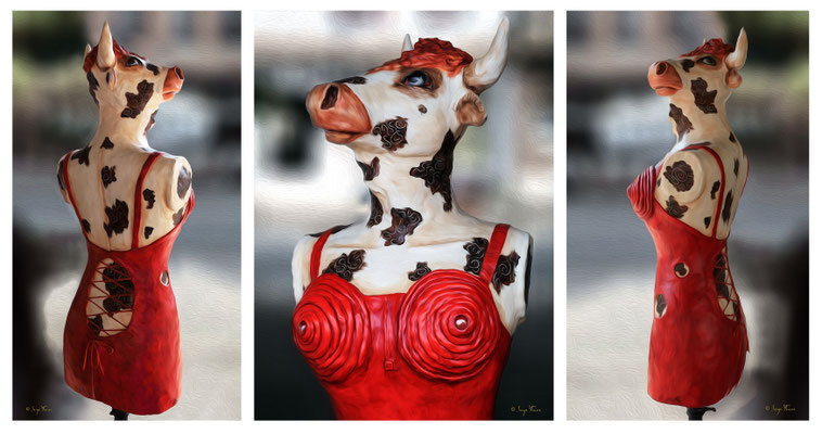 Carmencita ma belle rumineuse, radieuse en tenue très sexy à la Madonna.  La sculptrice Delphine Devos a eu cette idée originale d'habiller à la Jean-Paul Gaultier cette reine des prés et de m'avoir inspiré pour ce triptyque en photo-tableau