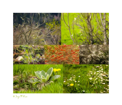 Le printemps abstrait - Photos façon tableau peinture Serge Faure