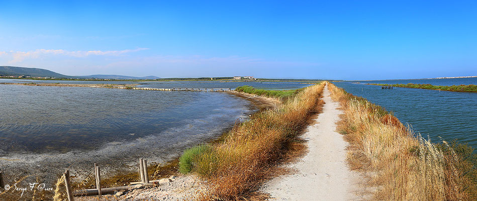 Anciens marais salants à la Sansouïre (Frontignan - Hérault - France) - Vue panoramique