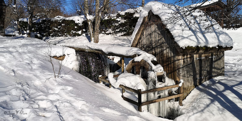 Le moulin à eau sous la neige de Murat le Quaire - Massif du Sancy - Auvergne - France