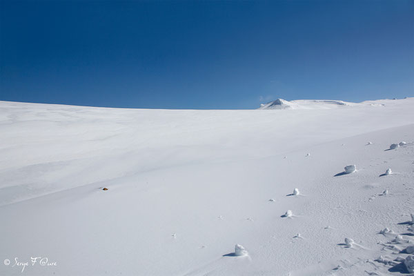 Vue sur le Puy de Sancy - Les plaines brûlées - Chastreix Sancy - Auvergne - France