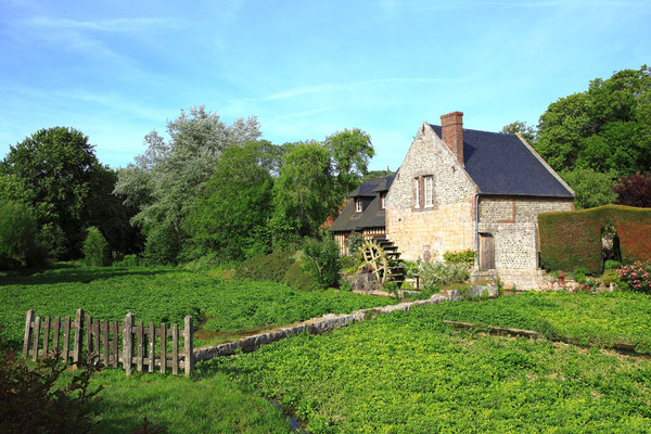 Moulin et cressonnière à Veules les roses - Pays de Caux - Normandie - France