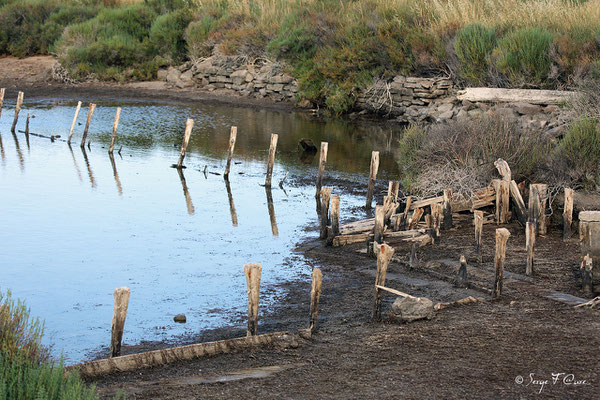 Anciens marais salants à la Sansouïre (Frontignan - Hérault - France)