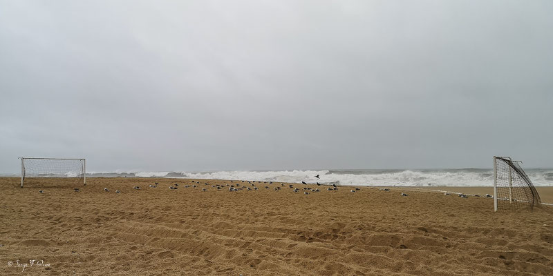  - Sur le chemin de Compostelle par le littoral