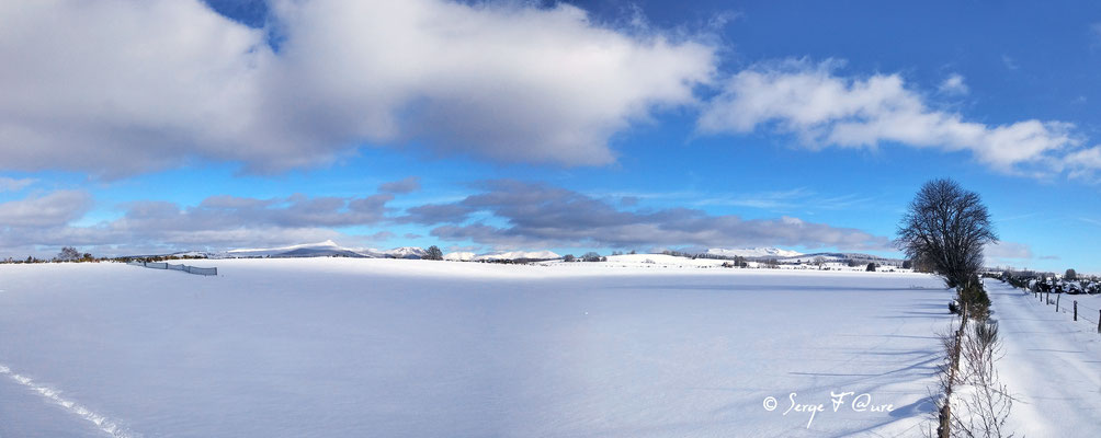 Le Massif du Sancy dans son immensité, revêtu de blanc (vu de Tauves) - Auvergne France