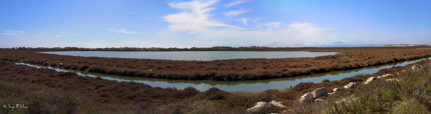 La Réserve Naturelle Nationale de Camargue - Les Saintes Maries de la Mer - Camargue - Bouches du Rhône - France
