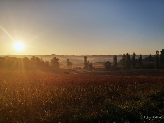 Après le hameau de Bonal entre Montcuq et Lauzerte - Sur le chemin de St Jacques de Compostelle (santiago de compostela) - Le Chemin du Puy ou Via Podiensis (variante par Rocamadour) - Septembre 2014