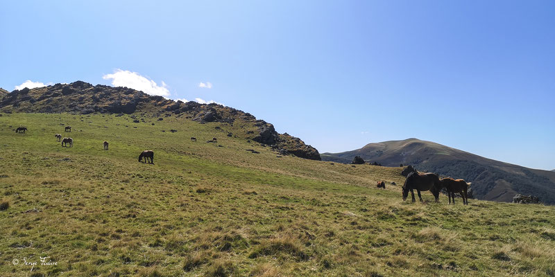 En montant au col de Roncevaux pour accéder à la partie Espagnole - Sur le chemin de Compostelle